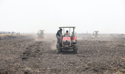 Wamentan Saleh Dorong Percepatan Tanam dan Produktivitas Cetak Sawah Merauke