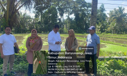 Kementan Menggerakan Percepatan Tanam di Banyuwangi