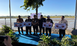 Kejar Swasembada Pangan, Kementan Genjot LTT Lewat PM-AAS dan Pompanisasi di Jateng