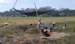 Tren Positif Terus Berlanjut, BPS : Januari – Oktober Diperkirakan Indonesia Catat 31,04 Juta Ton Beras