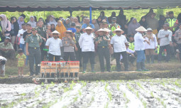 Kementan Yakni Program Pompanisasi Majukan Pertanian di Aceh Besar