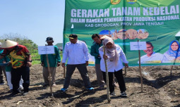 Kabupaten Grobogan Siap Mensukseskan Pengembangan Kedelai Nasional Seluas 50 Ribu Ha