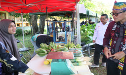 Gaet Minat Milenial, SMKPP Kementan Gelar Open Day 2024 di Banjarbaru