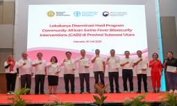 Sulawesi Utara Selesaikan Program Biosekuriti Berbasis Komunitas Melawan Demam Babi Afrika, Jadi Model Bagi Indonesia