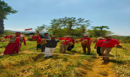 Petani Binaan UPLAND Project di Madura Panen Melimpah Bawang Merah Organik Varietas Baru