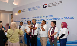 Kasus ASF Naik di Asia Pasifik, Kementan Gercep Ingatkan Peternak Perkuat Biosekuriti