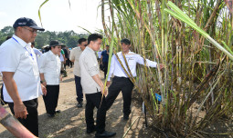 Wapres Gibran dan Mentan Amran  Dorong Akselerasi Swasembada Gula dari Yogyakarta