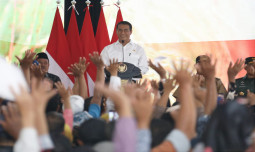 Mentan Amran Berterimakasih, Presiden Tambah Anggaran Pupuk Subsidi 14 Triliun