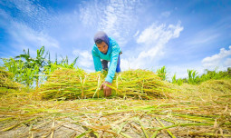 NTP Cetak Rekor Tahun 2025, Tembus 125,35