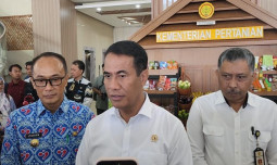 Serukan Pengelolaan Komoditas Hortikultura Skala Rumah Tangga, Mentan Amran: Tingkatkan Ekonomi Masyarakat