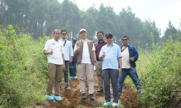 Kementan Dukung BUMN Bangun Farm GPS Broiler di Malang, Industri Perunggasan Nasional Makin Kuat