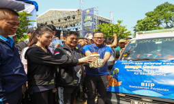 Mentan SYL Lepas Ekspor Mangga Gedong Gincu dan Ayam KUB ke Arab Saudi dan Timor Leste