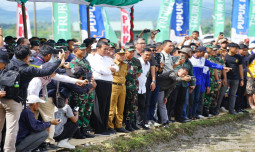 Pupuk Hingga Solar, Pemerintah Siap Fasilitasi Kebutuhan Petani Saat Masa Tanam