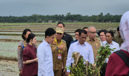 Bupati Langkat Salut Mentan Amran Selesaikan Masalah Irigasi dalam Waktu Kurang dari Satu Jam