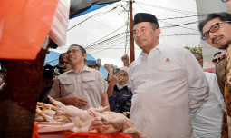 Harga Cabai Rawit dan Daging Ayam Turun, Kepala Bapanas: Sidak dan Satgas Saber Pangan Terus Kawal Stabilitas Pangan