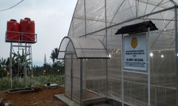 Kampung Flori: Pengembangan Tanaman Hias Menjanjikan