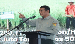 Kementerian Pertanian Akselerasi Peningkatan Luas Tanam dan Produksi Padi dan Jagung 2024