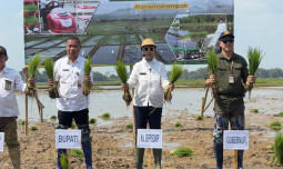 Kementan Percepat Gerakan Tanam di Lahan Oplah dan Cetak Sawah Rakyat untuk Perkuat Ketahanan Pangan Nasional