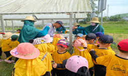 Kenalkan Pertanian Sejak Dini, Siswa PAUD Kunjungi Tefa SMK-PP Kementan