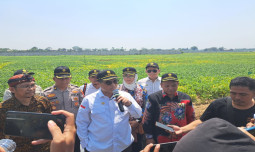 Di Karawang, Wamentan Panen Padi, Tanam Kedelai Hingga Cek Perairan