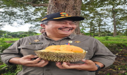 Durian Unggul Nusantara dari Kundur: Jagoan Baru yang Siap Mendunia