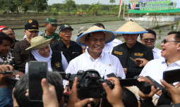 Percepatan Produksi Beras Nasional, Mentan Amran Serukan "Tanam Culik" dari Tuban