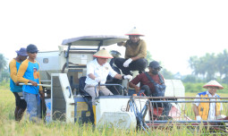 Kementan Apresiasi Upaya Peningkatan Produksi Padi dan Jagung di Halmahera Tengah