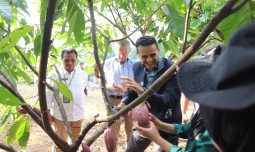 IFAD Apresiasi Kementan Cetak Petani Muda Produktif