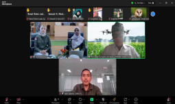 Cegah Serangan Hama Tikus, Kementan Dorong Penyuluh Siapkan Rumah Burung Hantu