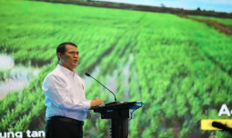 Mentan Amran Benahi Ekosistem Perberasan demi Kesejahteraan Petani Terus Meningkat