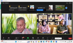 Fokus Swasembada Pangan, Kementan Tingkatkan Produsi Padi dan Jagung