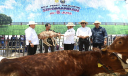 Dari Boyolali, Mentan SYL Ajak Para Peternak Indonesia Perkuat Hilirisasi