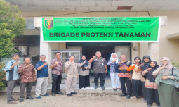 Gerak Cepat Adaptasi Perubahan Iklim di Lampung, Kementan Sosialisasikan EWS Sipantara