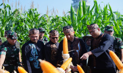 Buka Gebyar Perbenihan, Wamentan Sudaryono Genjot Akselerasi Swasembada Pangan