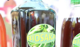 Tani On Stage di Makassar, Petani dan Penyuluh Antusias Ikuti Pelatihan Biosaka