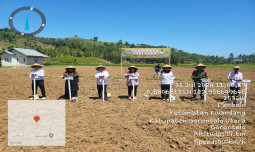 Tingkatkan Produktivitas Pertanian, Kementan Lakukan Tanam Padi Gogo di Gorontalo Utara