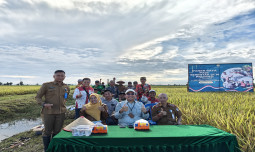 Presiden Prabowo Tekankan Pentingnya Kerja Keras dan Komitmen Bangun Ketahanan Pangan