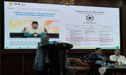 Integrasi Sapi di Kebun Sawit, Produksi Daging Naik, Biaya Pupuk Turun 30%!