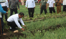 Menggembirakan PPL dan Petani, Tambahan Anggaran Pupuk Subsidi Sesuai Kebutuhan