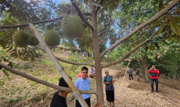 Kementan Percepat HDDAP di Buleleng, Kementan Segera Salurkan Benih Hortikultura
