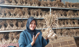 Kementan-Ombudsman Punya Semangat Sama Tingkatkan Produksi Bawang Putih