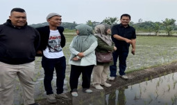 Kementan Gerakkan Percepat Tanam di Kabupaten Cianjur