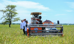 Kebijakan Presiden Prabowo Bikin Petani Bahagia, Harga Gabah Rp6.500 per Kilogram