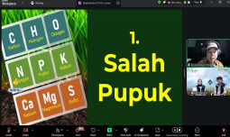 Ngobras Kementan: Pemupukan Berimbang Kunci Bertani Cerdas, Hemat dan Ramah Lingkungan