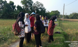 Amankan Produksi Padi Blora: Kementan Bimtek Petani Kendalikan Hama 