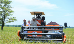 Kebijakan Pertanian Era Presiden Prabowo Dinilai Stabil, Petani Merasa Lebih Tenang Dan Produktif