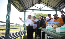 Mentan Amran: Serap Gabah Bermasalah, Swasembada Pangan Terancam