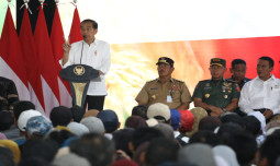 Presiden: Pupuk Bersubsidi Ditambah  Rp 14 Triliun, Mentan Berterimakasih