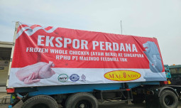 Tambahkan Nilai Ekspor di Penghujung Tahun, Indonesia Kirim Lagi Ayam Beku ke Singapura