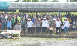 Kementan Dorong Percepatan Tanam di Aceh Besar Melalui Program Pompanisasi